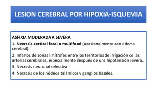 LESION CEREBRAL POR HIPOXIA-ISQUEMIA
ASFIXIA MODERADA A SEVERA
1. Necrosis cortical focal o multifocal (ocasionalmente con...