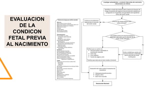 Condicon Asfixia Neonatal. Informacion para internos | PPTX