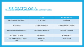 FISIOPATOLOGIATRANSICION NORMAL DEVIDA FETAL A EXTRAUTERINA
FETO RECIEN NACIDO
INTERCAMBIO DE GASES PLACENTA PULMON
ALVEOLOS LLENO DE LIQUIDO EXPANDIDOSCON AIRE
ARTERIOLAS PULMONARES VASOCONSTRICCION VASODILATACION
FLUJO PULMONAR DISMINUIDO AUMENTADO
DUCTUS ARTERIOSOY FOSA
OVAL
ABIERTOS
(D-I)
SE CIERRAN
 