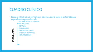 CUADRO CLÍNICO
• Produce compromiso de múltiples sistemas, por lo tanto la sintomatología
depende del órgano afectado.
• SISTEMA NERVIOSO CENTRAL.
• METABÓLICOS.
• RENALES.
• PULMONARES.
• CARDIOVASCULARES.
• GASTROINTESTINALES.
• HEMATOLOGICOS
PROBLEMAS
 