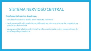 SISTEMA NERVIOSO CENTRAL
Encefalopatía hipóxico- isquémica:
• Es característico de la asfixia en un neonato a término.
• La determinación del grado de encefalopatía permite una orientación terapéutica y
pronóstico de la misma.
• La gravedad de tal disfunción inicial ha sido caracterizada en tres etapas clínicas de
encefalopatía post anóxica:
 