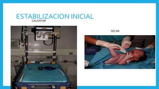 ESTABILIZACION INICIALCALENTAR
SECAR
 