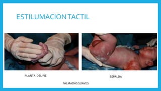 ESTILUMACIONTACTIL
PLANTA DEL PIE ESPALDA
PALMADAS SUAVES
 