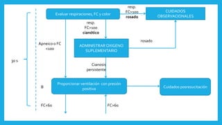 Evaluar respiraciones, FC y color
CUIDADOS
OBSERVACIONALES
resp.
FC>100
rosado
ADMINISTRAROXIGENO
SUPLEMENTARIO
rosado
resp.
FC>100
cianótico
Proporcionar ventilación con presión
positiva
Apneico o FC
<100
Cuidados posresucitación
Cianosis
persistente
B
30 s
FC<60 FC>60
 