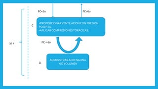 30 s
FC<60 FC>60
•PROPORCIONARVENTILACIONCON PRESIÓN
POSIVITA.
•APLICAR COMPRESIONESTORÁCICAS.
C
FC < 60
ADMINISTRARADRENALINA
Y/OVOLUMEND
 