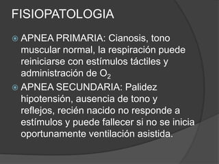 FISIOPATOLOGIA
 APNEA PRIMARIA:       Cianosis, tono
  muscular normal, la respiración puede
  reiniciarse con estímulos táctiles y
  administración de O2
 APNEA SECUNDARIA: Palidez
  hipotensión, ausencia de tono y
  reflejos, recién nacido no responde a
  estímulos y puede fallecer si no se inicia
  oportunamente ventilación asistida.
 