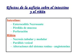 Efectos de la asfixia sobre el intestino y el riñón Intestino: Enterocolitis Necrosante Pérdida de mucosa Perforación Riñón Necrosis tubular y medular Parálisis vesical Alteraciones del sistema renina - angiotensina 