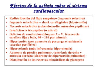 Efectos de la asfixia sobre el sistema cardiovascular Redistribución del flujo sanguíneo (isquemia selectiva) Isquemia miocárdica – shock cardiogénico (hipotensión) Necrosis miocárdica (subendocardio, músculos papilares) Insuficiencia tricuspídea (o mitral) Defectos de conducción (bloqueo A – V; frecuencia cardíaca fija y baja, 90 – 110 por minuto) Hipertensión (por aumento de poscarga o resistencia vascular periférica) Hipervolemia (más infrecuente: hipovolemia) Aumento de presión pulmonar, ventrículo derecho y aurícula derecha (síndrome de hipertensión pulmonar) Disminución de las reservas miocárdicas de glucógeno 