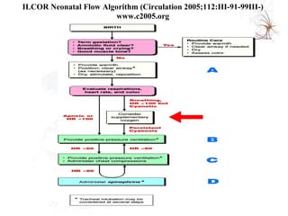 ILCOR Neonatal Flow Algorithm (Circulation 2005;112:III-91-99III-) www.c2005.org 