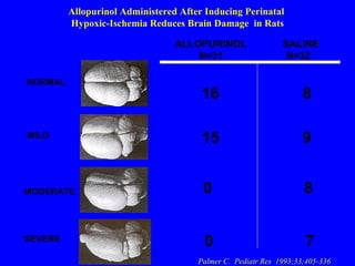 NORMAL MILD MODERATE SEVERE ALLOPURINOL N=31 SALINE N=32 15  9 0  8 0  7 16  8 Allopurinol Administered After Inducing Perinatal  Hypoxic-Ischemia Reduces Brain Damage  in Rats Palmer C.  Pediatr Res  1993;33;405-336 