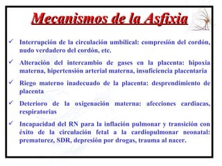 Mecanismos de la Asfixia Interrupción de la circulación umbilical:  compresión del cordón, nudo verdadero del cordón, etc. Alteración del intercambio de gases en la placenta:  hipoxia materna, hipertensión arterial materna, insuficiencia placentaria Riego materno inadecuado de la placenta:  desprendimiento de placenta Deterioro de la oxigenación materna: afecciones cardiacas, respiratorias Incapacidad del RN para la inflación pulmonar y transición con éxito de la circulación fetal a la cardiopulmonar neonatal:  prematurez, SDR, depresión por drogas, trauma al nacer. 