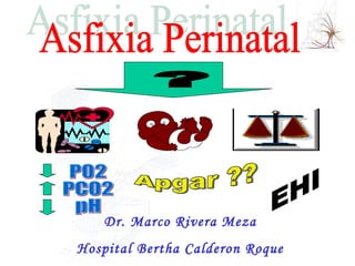 Asfixia Perinatal ?  P02 PC02 pH Apgar ?? EHI Dr. Marco Rivera Meza Hospital Bertha Calderon Roque 