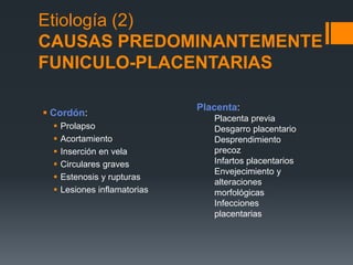 Etiología (2)
CAUSAS PREDOMINANTEMENTE
FUNICULO-PLACENTARIAS
 Cordón:
 Prolapso
 Acortamiento
 Inserción en vela
 Circulares graves
 Estenosis y rupturas
 Lesiones inflamatorias
Placenta:
Placenta previa
Desgarro placentario
Desprendimiento
precoz
Infartos placentarios
Envejecimiento y
alteraciones
morfológicas
Infecciones
placentarias
 