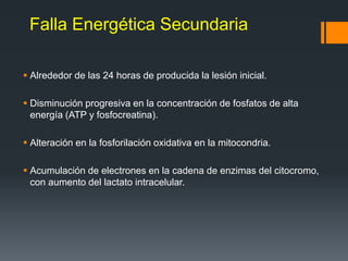 Falla Energética Secundaria
 Alrededor de las 24 horas de producida la lesión inicial.
 Disminución progresiva en la concentración de fosfatos de alta
energía (ATP y fosfocreatina).
 Alteración en la fosforilación oxidativa en la mitocondria.
 Acumulación de electrones en la cadena de enzimas del citocromo,
con aumento del lactato intracelular.
 