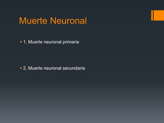 Muerte Neuronal
 1. Muerte neuronal primaria
 2. Muerte neuronal secundaria
 