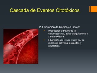 Cascada de Eventos Citotóxicos
2. Liberación de Radicales Libres:
 Producción a través de la
ciclooxigenasa, acido araquidónico y
xantin oxidasa.
 Liberación de Oxido nítrico por la
microglia activada, astrocitos y
neutrófilos.
 