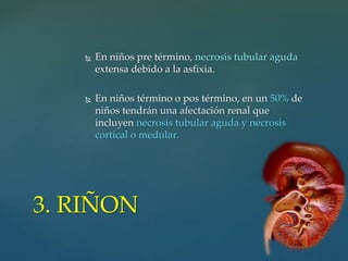  En niños pre término, necrosis tubular aguda
extensa debido a la asfixia.
 En niños término o pos término, en un 50% de
niños tendrán una afectación renal que
incluyen necrosis tubular aguda y necrosis
cortical o medular.
3. RIÑON
 