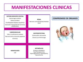 SISTEMA NERVIOSO CENTRAL
Hemorragia cerebral
Edema cerebral
Encefalopatía hipóxico-isquémica
Secreción inapropiada de hormona
antidiuretica
RENAL
Necrosis cortical/tubular/medular
renal
CARDIOVASCULAR
Fallo o insuficiencia cardiaca
Necrosis de los músculos papilares
Arritmias
GASTROINTESTINAL
Enterocolitis necrosante
Ulceras con hemorragia
HEMATOLOGÍA
CID
METABÓLICAS
Acidosis metabólica:
hipo/hiperglucemia;
hipomagnesemia; hiperkalemia;
hiponatremia
MANIFESTACIONES CLINICAS
COMPROMISO DE ORGANOS
 