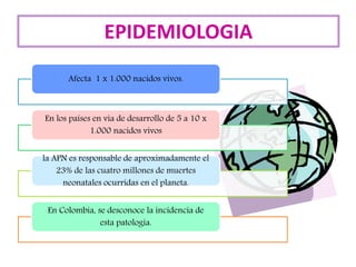 Afecta 1 x 1.000 nacidos vivos.
En los países en vía de desarrollo de 5 a 10 x
1.000 nacidos vivos
la APN es responsable de aproximadamente el
23% de las cuatro millones de muertes
neonatales ocurridas en el planeta.
En Colombia, se desconoce la incidencia de
esta patología.
EPIDEMIOLOGIA
 