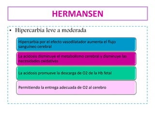 • Hipercarbia leve a moderada
HERMANSEN
Hipercarbia por el efecto vasodilatador aumenta el flujo
sanguíneo cerebral
La acidosis disminuye el metabolismo cerebral y disminuye las
necesidades oxidativas
La acidosis promueve la descarga de O2 de la Hb fetal
Permitiendo la entrega adecuada de O2 al cerebro
 