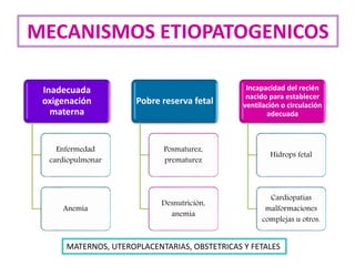 Inadecuada
oxigenación
materna
Enfermedad
cardiopulmonar
Anemia
Pobre reserva fetal
Posmaturez,
prematurez
Desnutrición,
anemia
Incapacidad del recién
nacido para establecer
ventilación o circulación
adecuada
Hidrops fetal
Cardiopatías
malformaciones
complejas u otros.
MECANISMOS ETIOPATOGENICOS
MATERNOS, UTEROPLACENTARIAS, OBSTETRICAS Y FETALES
 