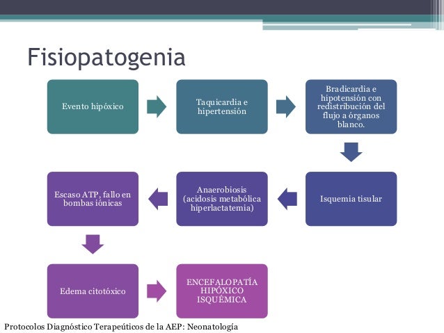 asfixia perinatal fisiopatologia pdf asfixia perinatal fisiopatologia pdf