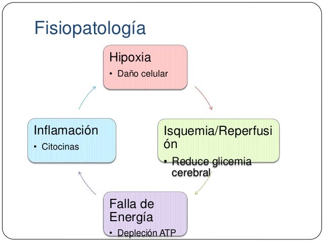 ASFIXIA NEONATAL FISIOPATOLOGIA EPUB DOWNLOAD ASFIXIA NEONATAL FISIOPATOLOGIA EPUB DOWNLOAD