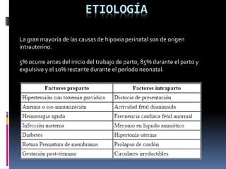 ETIOLOGÍA
La gran mayoría de las causas de hipoxia perinatal son de origen
intrauterino.
5% ocurre antes del inicio del trabajo de parto, 85% durante el parto y
expulsivo y el 10% restante durante el período neonatal.
 