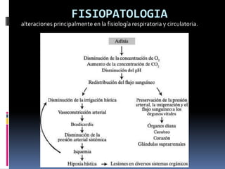 FISIOPATOLOGIA
alteraciones principalmente en la fisiología respiratoria y circulatoria.
 