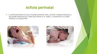 Asfixia perinatal
 La asfixia perinatal es la que se puede presentar antes, durante o después del parto y
que puede producirse por causas que afecten a la madre, a la placenta y/o cordón
umbilical o al propio feto.
 