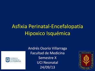 Asfixia Perinatal-Encefalopatía
Hipoxico Isquémica
Andrés Osorio Villarraga
Facultad de Medicina
Semestre X
UCI Neonatal
24/09/13

 