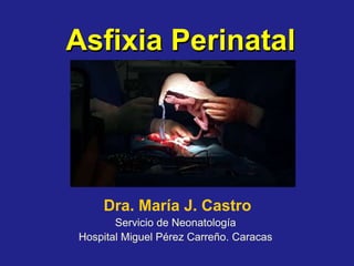 Asfixia Perinatal
Dra. María J. Castro
Servicio de Neonatología
Hospital Miguel Pérez Carreño. Caracas
 