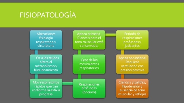 Neumonia fisiopatologia pdf Neumonia fisiopatologia pdf