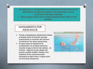 AHOGAMIENTO POR
AGUA DULCE
 Tiende a desplazarse rápidamente desde
el alvéolo hacia el torrente vascular
ocasionando un aumento del volumen
circulante en los vasos sanguíneos.
 El agua dulce es hipotónica en
comparación con el tejido pulmonar.
Cuando el agua entra en las células , se
hinchan . Algunas de las células del
pulmón pueden estallar. Debido a los
capilares de los pulmones están
expuestos al agua dulce, el agua entra
en el torrente sanguíneo.
o Las lesiones por ahogamiento se relacionan directamente con la
dificultad en el paso de oxígeno a los pulmones y con la
composición del agua aspirada.
o Tanto el agua dulce como el agua salada causan daño en los
alvéolos.
 