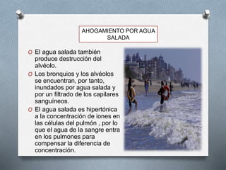 O El agua salada también
produce destrucción del
alvéolo.
O Los bronquios y los alvéolos
se encuentran, por tanto,
inundados por agua salada y
por un filtrado de los capilares
sanguíneos.
O El agua salada es hipertónica
a la concentración de iones en
las células del pulmón , por lo
que el agua de la sangre entra
en los pulmones para
compensar la diferencia de
concentración.
AHOGAMIENTO POR AGUA
SALADA
 