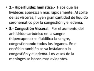 • 2.- Hiperfluidez hematica.- Hace que las
livideces aparezcan mas rápidamente. Al corte
de las vísceras, fluyen gran cantidad de liquido
serohematico por la congestión y el edema.
• 3.- Congestión Visceral: Por el aumento del
anhídrido carbónico en la sangre
(hipercapnea) se fluidifica la sangre,
congestionando todos los órganos. En el
encéfalo también se va instalando la
congestión y el edema. Los vasos de la
meninges se hacen mas evidentes.
 