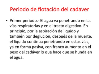 Periodo de flotación del cadaver
• Primer periodo.- El agua va penetrando en las
vías respiratorias y en el tracto digestivo. En
principio, por la aspiración de liquido y
también por deglución, después de la muerte,
el liquido continua penetrando en estas vías,
ya en forma pasiva, con franco aumento en el
peso del cadáver lo que hace que se hunda en
el agua.
 
