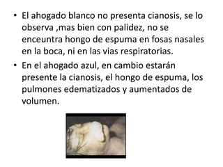• El ahogado blanco no presenta cianosis, se lo
observa ,mas bien con palidez, no se
enceuntra hongo de espuma en fosas nasales
en la boca, ni en las vias respiratorias.
• En el ahogado azul, en cambio estarán
presente la cianosis, el hongo de espuma, los
pulmones edematizados y aumentados de
volumen.
 