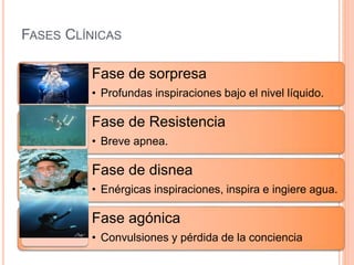 FASES CLÍNICAS
Fase de sorpresa
• Profundas inspiraciones bajo el nivel líquido.
Fase de Resistencia
• Breve apnea.
Fase de disnea
• Enérgicas inspiraciones, inspira e ingiere agua.
Fase agónica
• Convulsiones y pérdida de la conciencia
 