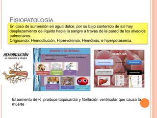FISIOPATOLOGÍA
En caso de sumersión en agua dulce, por su bajo contenido de sal hay
desplazamiento de líquido hacia la sangre a través de la pared de los alveolos
pulmonares.
Originando: Hemodilución, Hipervolemia, Hemólisis, e hiperpotasemia.
El aumento de K produce taquicardia y fibrilación ventricular que causa la
muerte
 