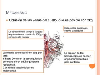MECANISMO
 Oclusión de las venas del cuello, que es posible con 2kg
Esto explica la cianosis,
edema y petequiasLa oclusión de la laringe o tráquea
requiere de una presión de 15Kg y
conduce a la hipoxia
La presión de loa
barorreceptores pueden
originar bradicardia o
paro cardíaco
La muerte suele ocurrir en seg. por
lazo.
Y hasta 20min en la estrangulación
por mano en un adulto que pone
resistencia.
Con reflejo vagoinhibidor es
instantánea.
 