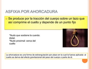 ASFIXIA POR AHORCADURA
 Se produce por la tracción del cuerpo sobre un lazo que
así comprime el cuello y depende de un punto fijo
*Nudo que sostiene la cuerda:
distal.
*Nudo proximal: cerca del
cuello
La ahorcadura es una forma de estrangulación por plazo en la cual la fuerza aplicada al
cuello se deriva del efecto gravitacional del peso del cuerpo o parte de él.
 