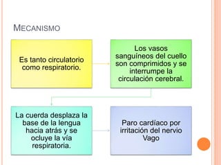MECANISMO
Es tanto circulatorio
como respiratorio.
Los vasos
sanguíneos del cuello
son comprimidos y se
interrumpe la
circulación cerebral.
La cuerda desplaza la
base de la lengua
hacia atrás y se
ocluye la vía
respiratoria.
Paro cardíaco por
irritación del nervio
Vago
 