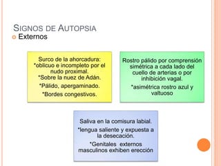 SIGNOS DE AUTOPSIA
 Externos
Surco de la ahorcadura:
*oblicuo e incompleto por el
nudo proximal.
*Sobre la nuez de Adán.
*Pálido, apergaminado.
*Bordes congestivos.
Rostro pálido por comprensión
simétrica a cada lado del
cuello de arterias o por
inhibición vagal.
*asimétrica rostro azul y
valtuoso
Saliva en la comisura labial.
*lengua saliente y expuesta a
la desecación.
*Genitales externos
masculinos exhiben erección
 