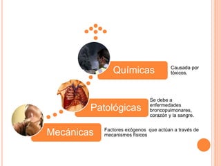 Mecánicas Factores exógenos que actúan a través de
mecanismos físicos
Patológicas
Se debe a
enfermedades
broncopulmonares,
corazón y la sangre.
Químicas Causada por
tóxicos.
 