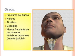 ÓSEOS.
 Fracturas del hueso.
 Hioides
 Tiroides
 Cricoides
 Menos frecuente de
las primeras
vértebras cervicales
(muerte judicial)
 