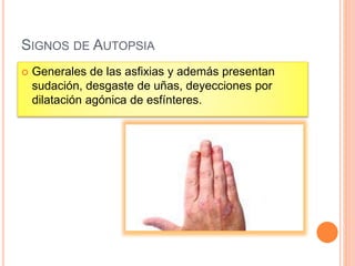SIGNOS DE AUTOPSIA
 Generales de las asfixias y además presentan
sudación, desgaste de uñas, deyecciones por
dilatación agónica de esfínteres.
 
