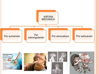 ASFIXIA
MECÁNICA
Por sumersión
Por
estrangulación
Por ahorcadura Por sofocación
 