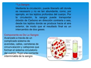**La Sangre:
Mediante la circulación, puede liberarlo allí donde
es necesario y no es tan abundante, como, por
ejemplo, en los tejidos profundos del cuerpo. Por
la circulación, la sangre puede transportar
dióxido de Carbono en dirección contraria o sea,
desde los tejidos donde se produce hacia el aire
exterior, de modo que el resultado final es un
intercambio de dos gases.
 