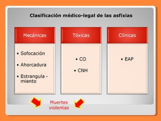 Clasificación médico-legal de las asfixias Muertes violentas 